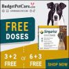 Best Price Guaranteed Budget Pet Care